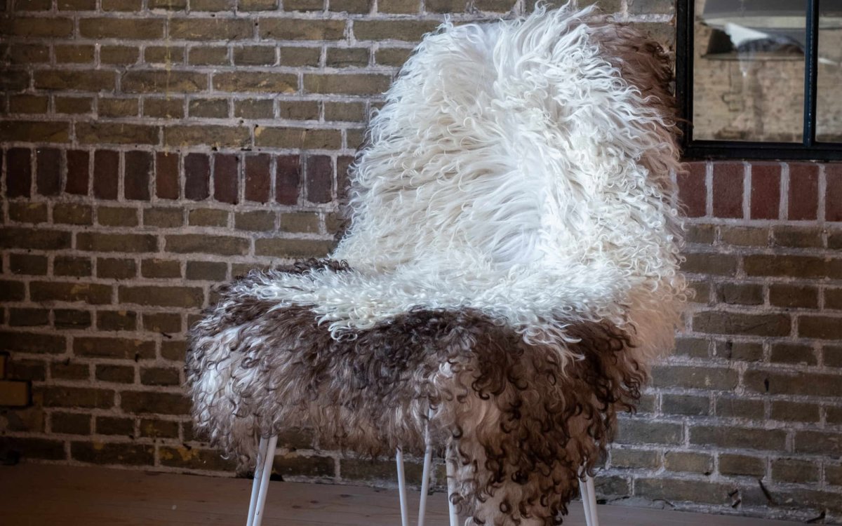Curly Sheepskin schapenvacht - Afbeelding 3